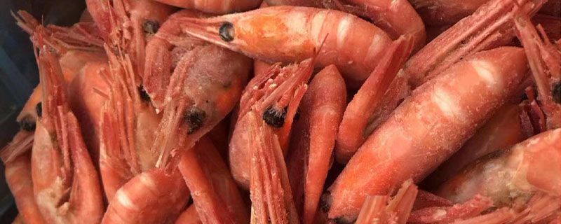 白米虾是海虾还是河虾
