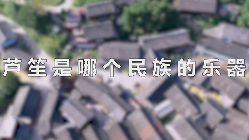 芦笙是哪个民族的乐器