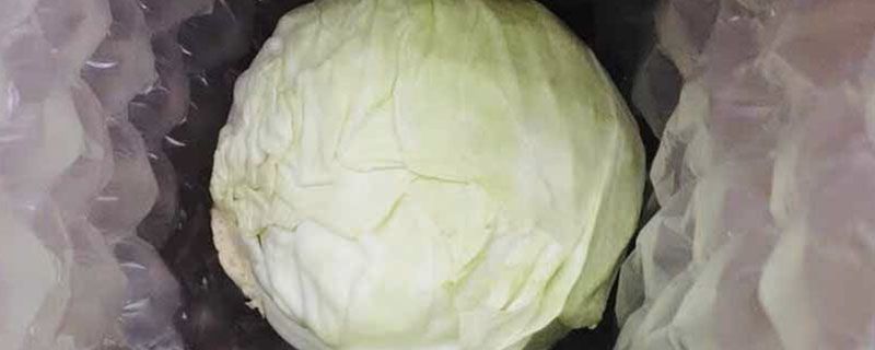 紫甘蓝做沙拉要烫吗