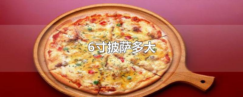 6寸披萨多大