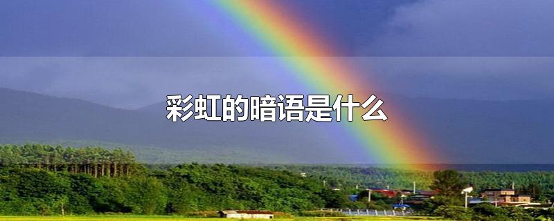 彩虹的暗语是什么