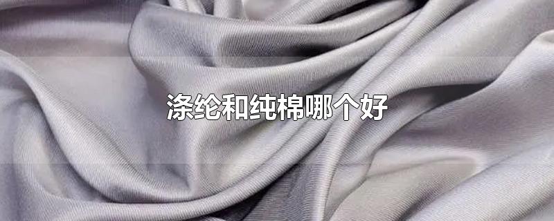 涤纶和纯棉哪个好
