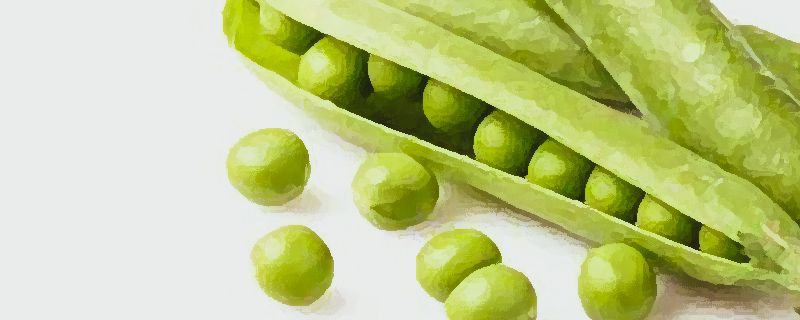 新鲜青豆怎么保存到冬天吃