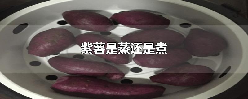 紫薯是蒸还是煮