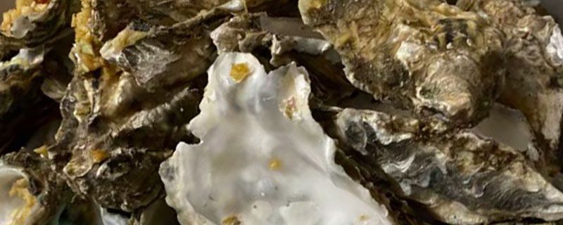 生蚝生吃有寄生虫吗