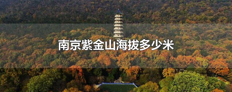 南京紫金山海拔多少米