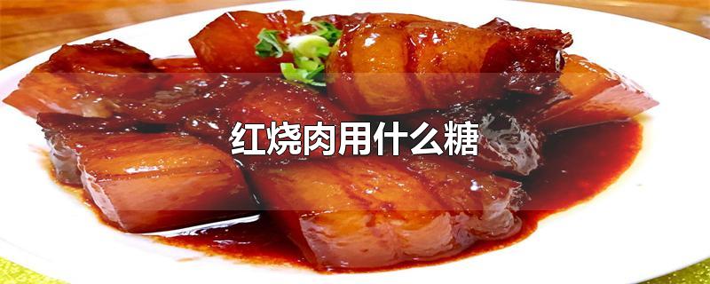 红烧肉用什么糖