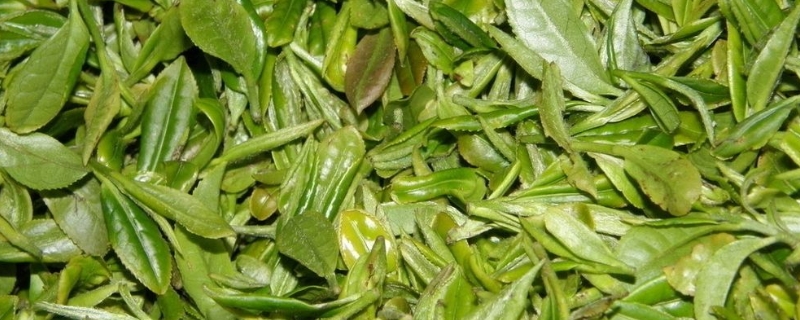 新鲜茶叶可以做成什么吃的