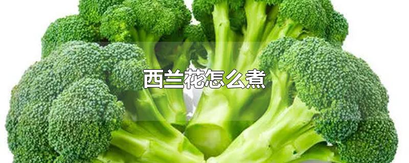 西兰花怎么煮