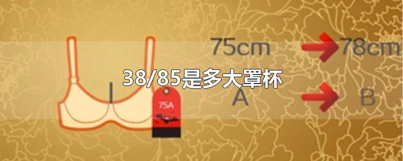 38/85是多大罩杯