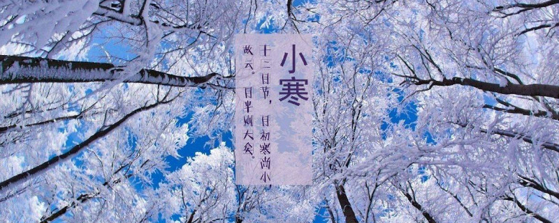 小寒的特点