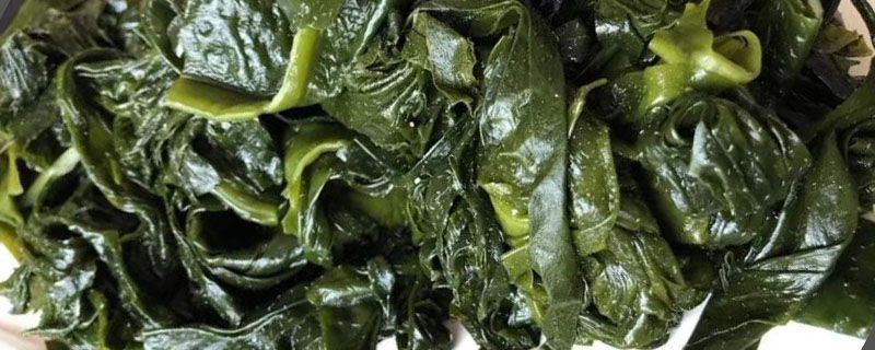 海带丝泡水多长时间好