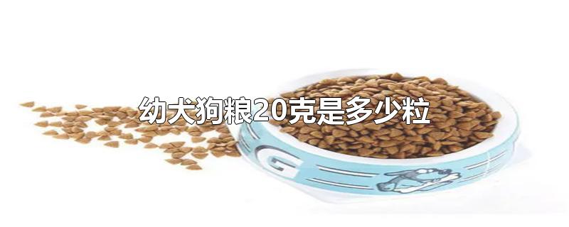 幼犬狗粮20克是多少粒