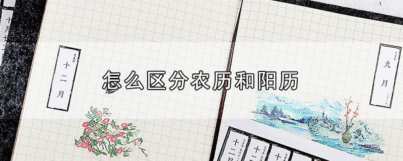 怎么区分农历和阳历