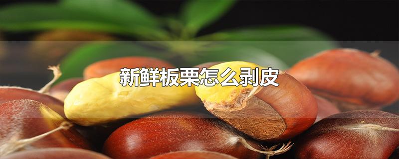 新鲜板栗怎么剥皮