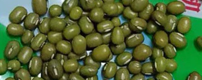 煮绿豆汤为什么要放汤匙