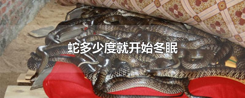 蛇多少度就开始冬眠