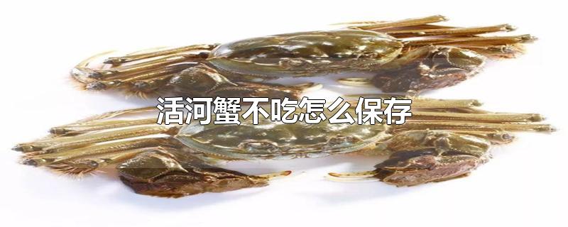 活河蟹不吃怎么保存