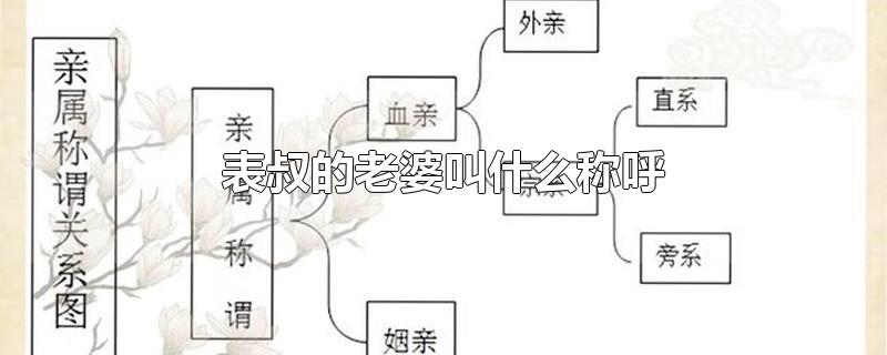 表叔的老婆叫什么称呼