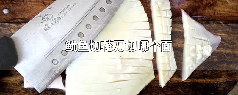 鱿鱼切花刀切哪个面