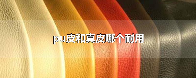 pu皮和真皮哪个耐用