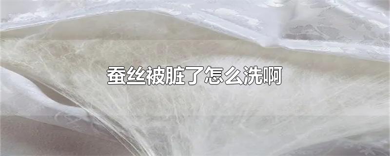 蚕丝被脏了怎么洗啊