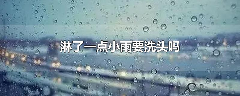 淋了一点小雨要洗头吗