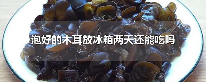 泡好的木耳放冰箱两天还能吃吗