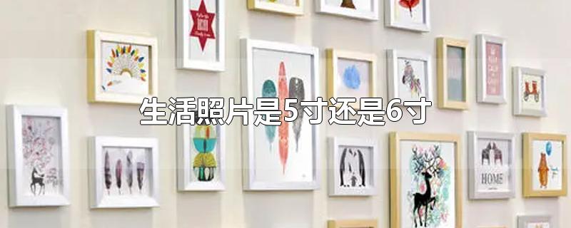 生活照片是5寸还是6寸