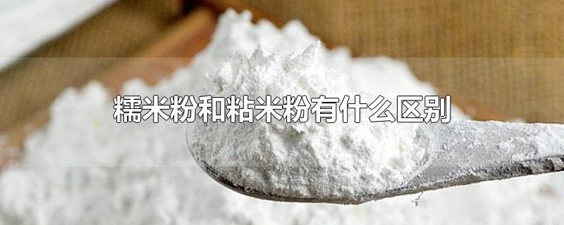糯米粉和粘米粉有什么区别