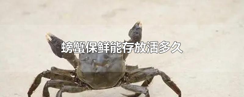 螃蟹保鲜能存放活多久