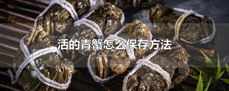 活的青蟹怎么保存方法