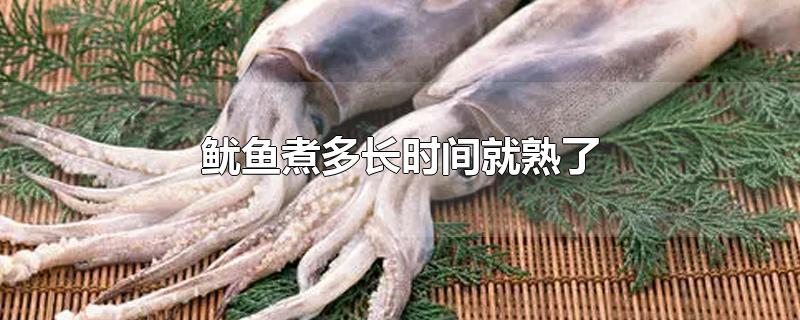 鱿鱼煮多长时间就熟了