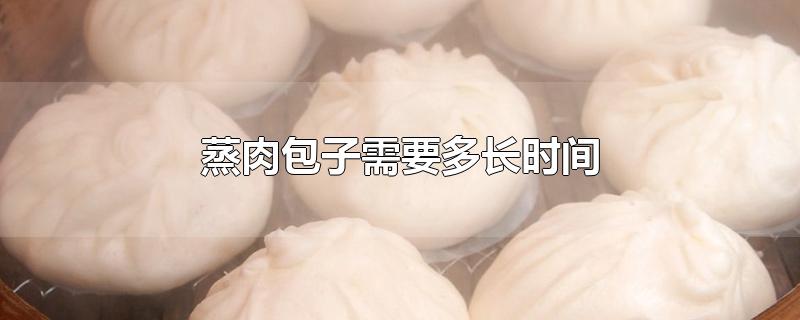 蒸肉包子需要多长时间