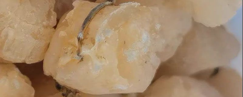 扇贝蒸多久能熟?