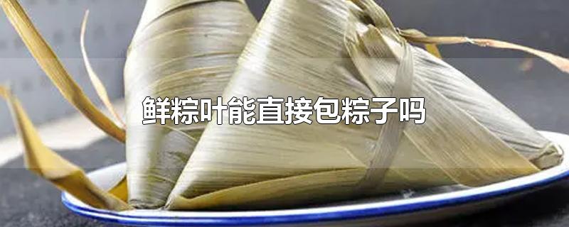 鲜粽叶能直接包粽子吗