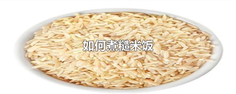 如何煮糙米饭