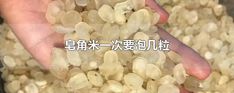 皂角米一次要泡几粒