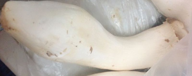 杏鲍菇焯水后用不用过凉水