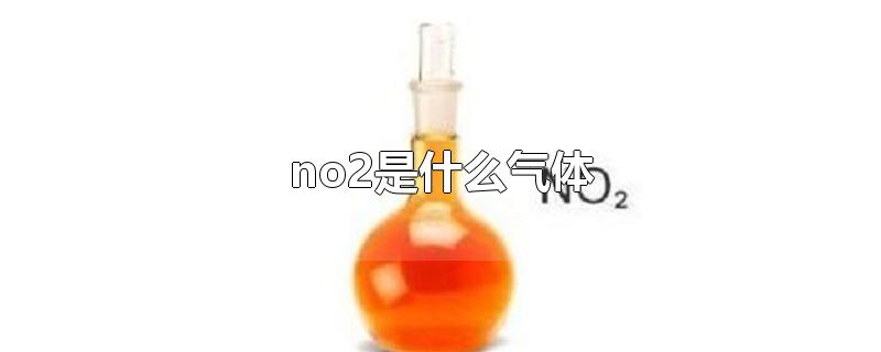 no2是什么气体