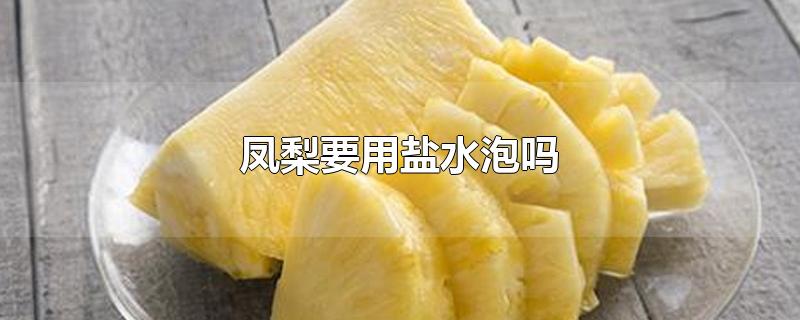 凤梨要用盐水泡吗