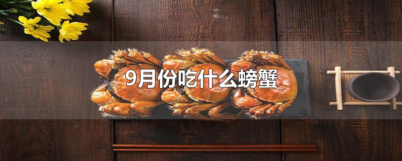 9月份吃什么螃蟹