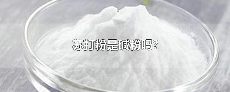 苏打粉是碱粉吗?