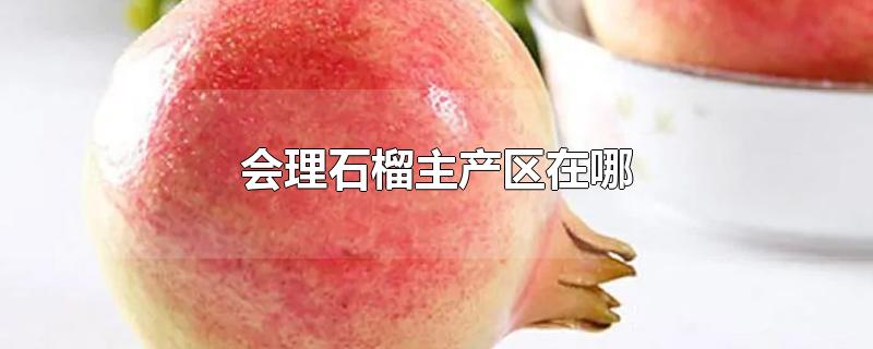 会理石榴主产区在哪