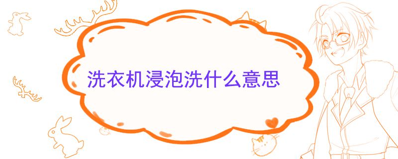 洗衣机浸泡洗什么意思