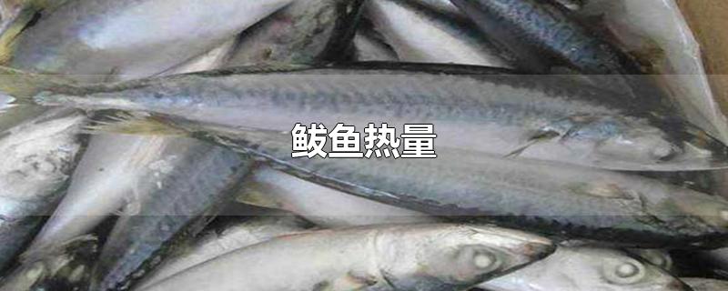 鲅鱼热量