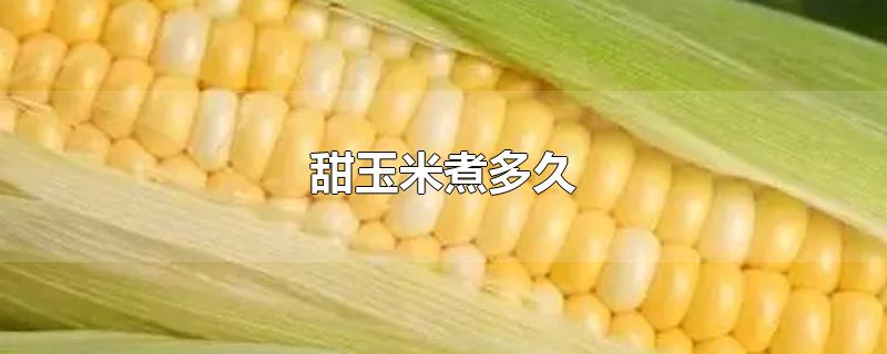 甜玉米煮多久