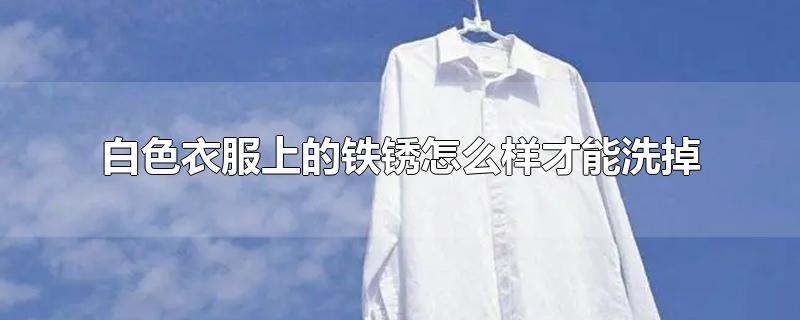 白色衣服上的铁锈怎么样才能洗掉
