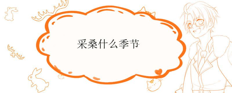 采桑什么季节