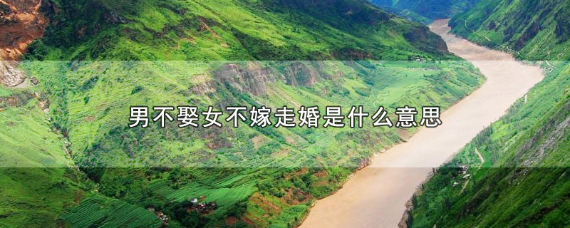 男不娶女不嫁走婚是什么意思